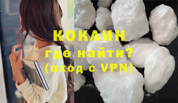 прущие грибы Беслан